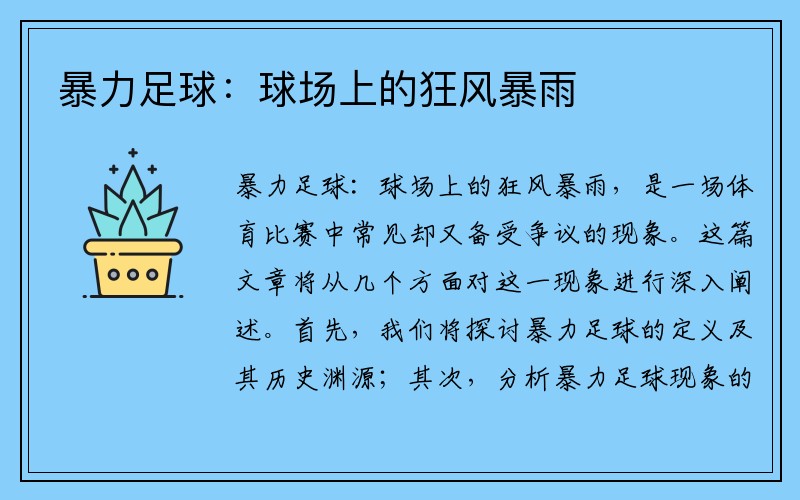 暴力足球：球场上的狂风暴雨